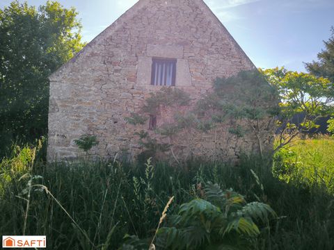 photo no. 3