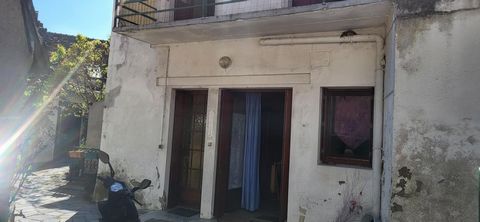 photo no. 14