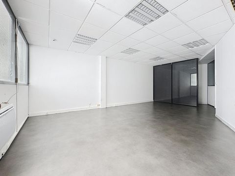 photo no. 4