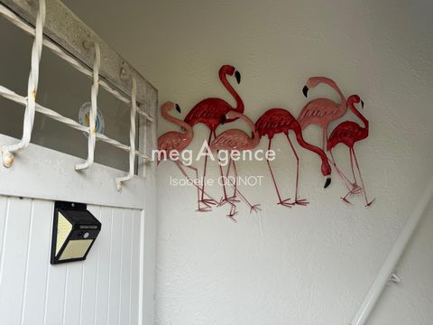 photo no. 13