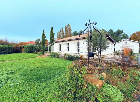 photo no. 2