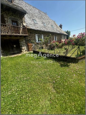 photo no. 5