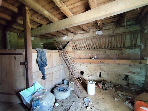 photo no. 5