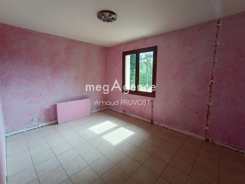 photo no. 5