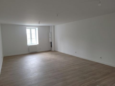 photo no. 8