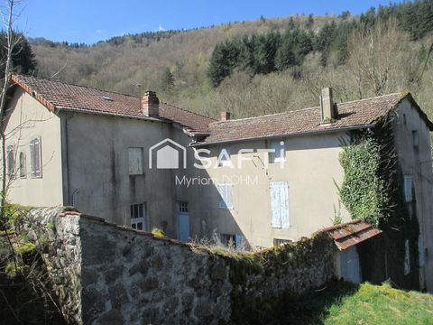 photo no. 5