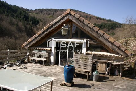 photo no. 1