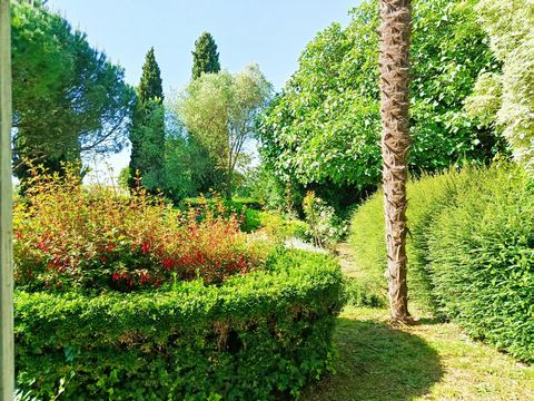 photo no. 13