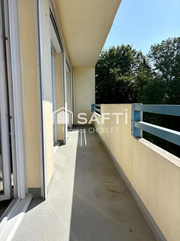 photo no. 6