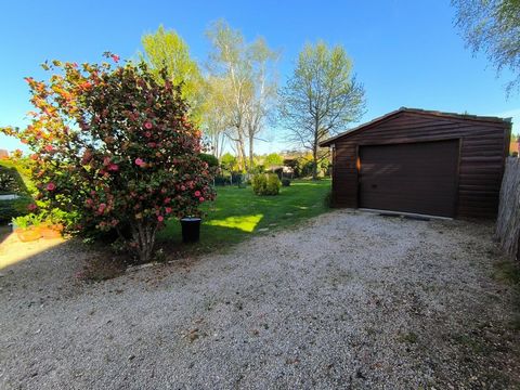 photo no. 13