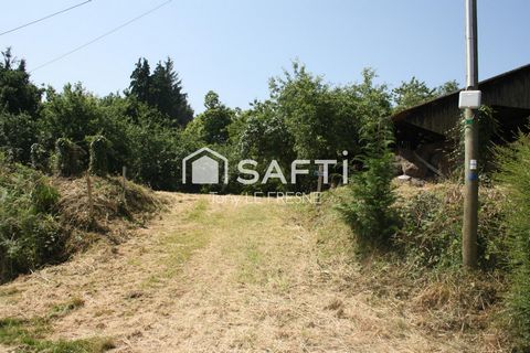 photo no. 4