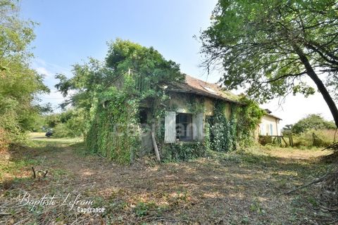 photo no. 1