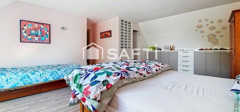 photo no. 11