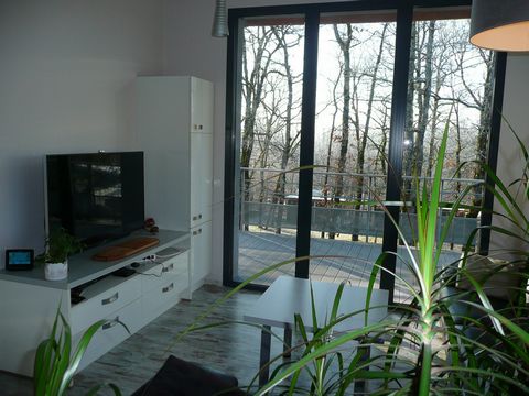 photo no. 11