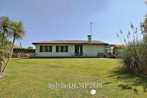 photo no. 16