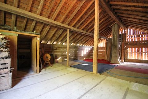 photo no. 2