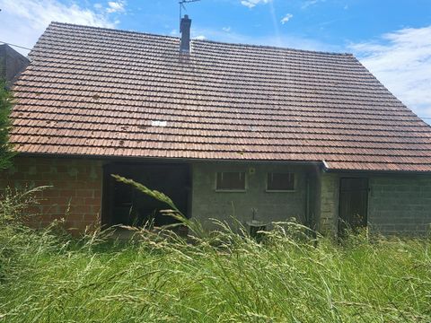 photo no. 3