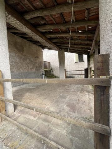 photo no. 5