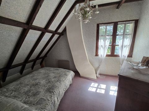 photo no. 12