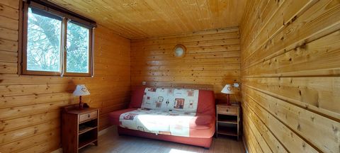 photo no. 4