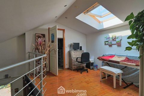 photo no. 18