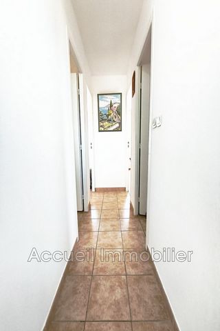 photo no. 11