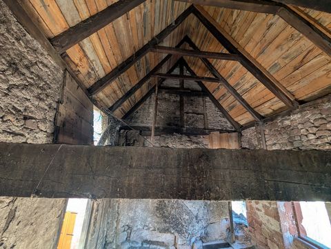 photo no. 16