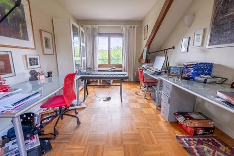 photo no. 12