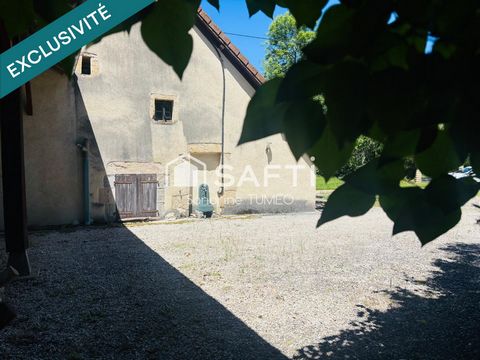 photo no. 16
