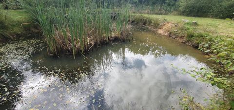 photo no. 18