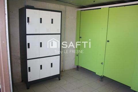 photo no. 8