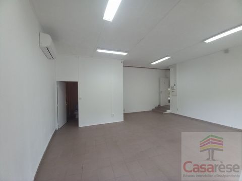 photo no. 4