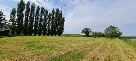 photo no. 9