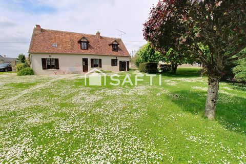 photo no. 9