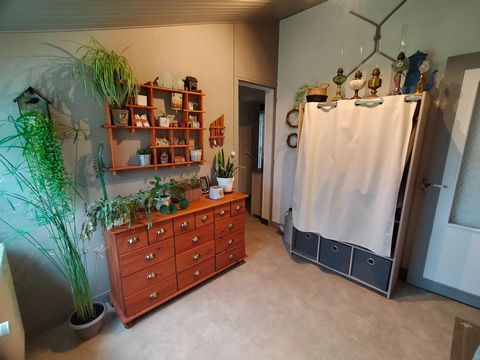 photo no. 11