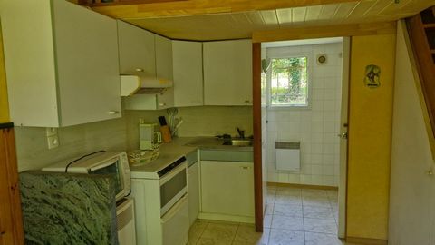 photo no. 6