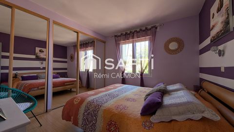 photo no. 10