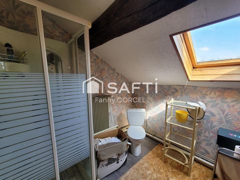 photo no. 11