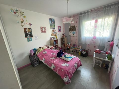 photo no. 11