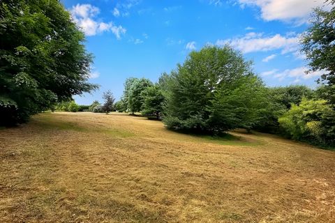 photo no. 19