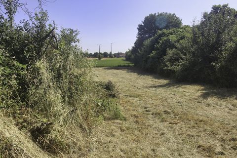 photo no. 4