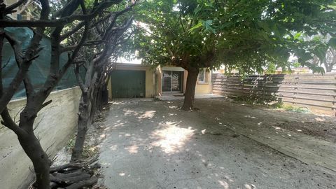 photo no. 12