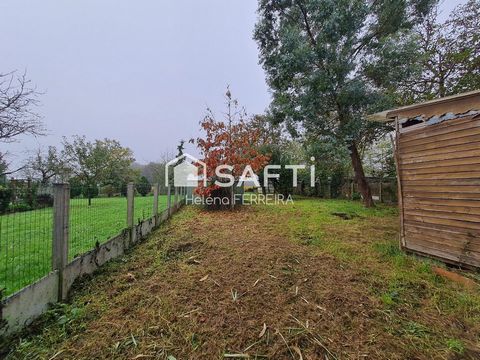 photo no. 12