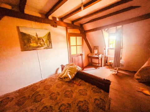photo no. 10