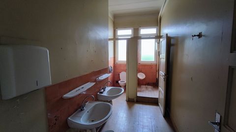 photo no. 18