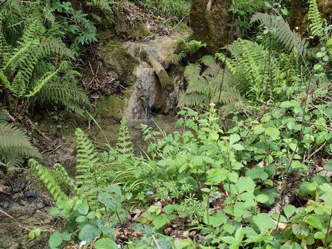 photo no. 15