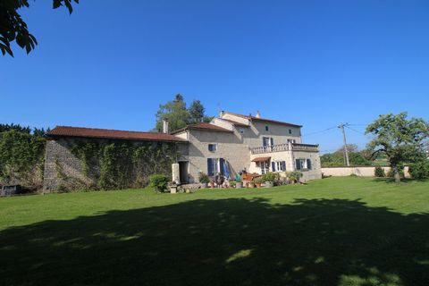 photo no. 19