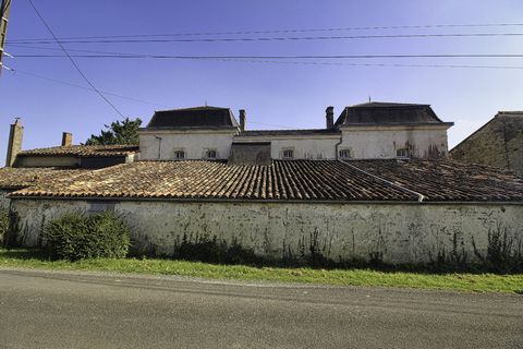 photo no. 10