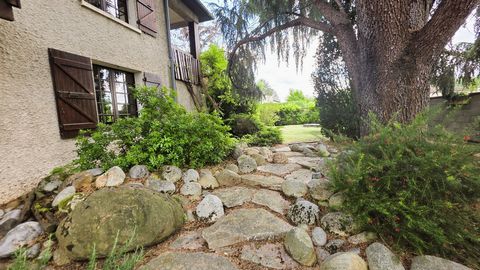photo no. 12