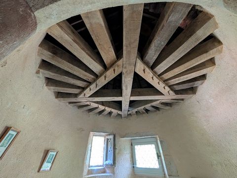photo no. 9